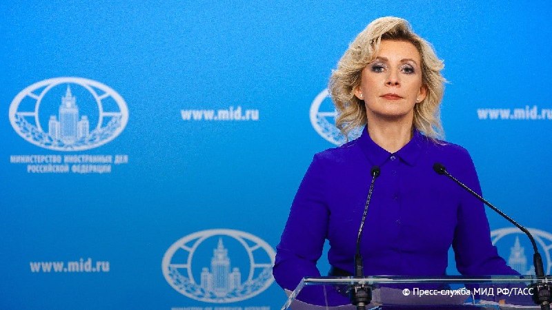 Выборы в Шираке: Захарова обвинила ЕС в нарушении демократических принципов
