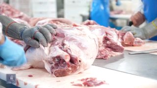 Компания «Атенк» в Ширакской области выходит на новый этап: от производства до экспорта мясной продукции