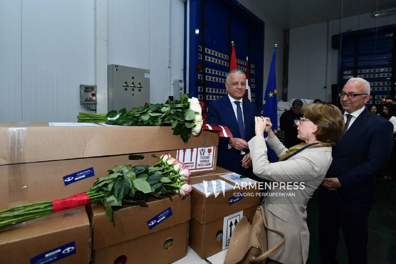 Первая партия роз из Армении экспортирована в Латвию — 5500 цветов
