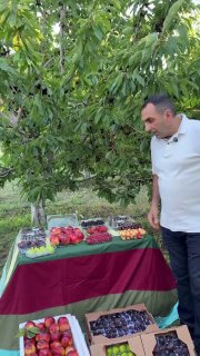 Первая партия армянских фруктов отправлена из Ширака в ОАЭ