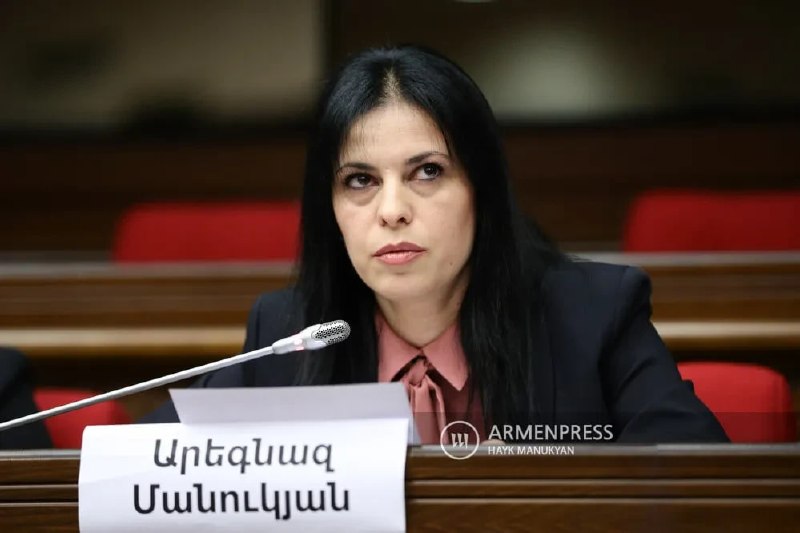 Члена правления «Мать Армения» Арегназ Манукян арестовали на два месяца — Ширак